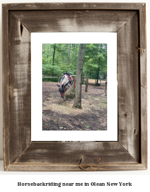 horseback riding near me in Olean, New York